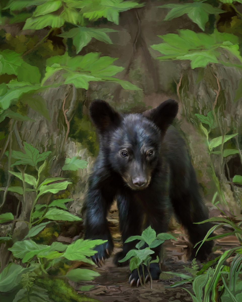 Bear by Jim Byron